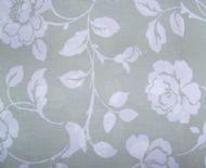 Meadow sage